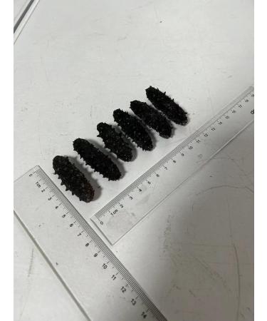 Herbal supplements of sea cucumber and curcumin 200g - Buy Online on GoSupps.com