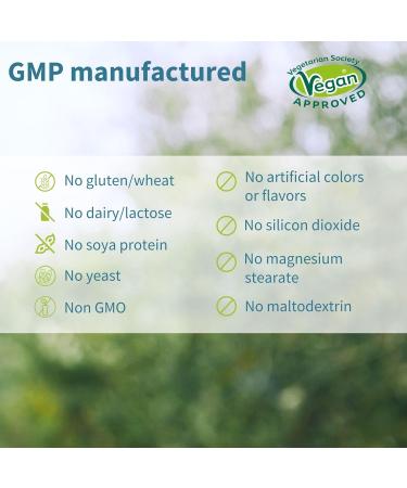 Multivitamin & Minerals for Men + High Absorption Curcumin C3 Complex Vegan Bundle Sustained Release Advanced Multivitamin + 300% Greater Absorption Curcuminoids with Rapid Uptake by Igennus - Buy Online on GoSupps.com