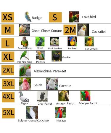 Bird Flight Harness Vest for Parakeets, Cockatiels, Conures, Budgies | Parrot Flight Suit with Leash, Rope, and Handle | Outdoor Training Clothes for Bird Flying Activities | Anti Bite | Medium Blue - Buy Online on GoSupps.com