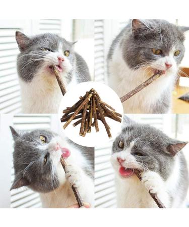 30 Catnip Sticks for Cats - Natural Matatabi Silvervine Chew Toys for Dental Health and Teeth Grinding - Catnip Toys for Kittens - Buy Online on GoSupps.com