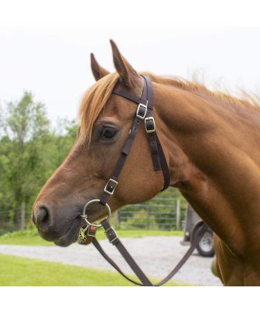 Tahoe Tack Double Layer Nylon Headstall with Reins - Pink Full Size - Buy Online on GoSupps.com