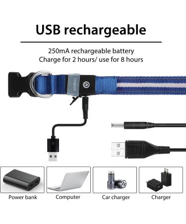 Masbrill Luminous LED Dog Collar - Waterproof & Adjustable Safety Band with 3 Flashing Lights for Small to Large Dogs (Blue XS 25-35cm) - Buy Online on GoSupps.com