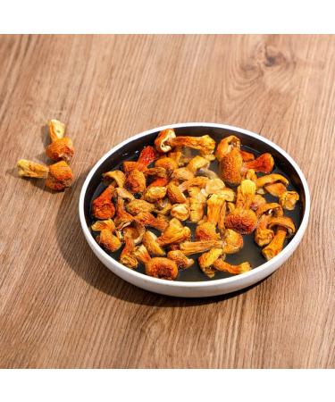 Agaricus Dried agaricus Blazei Murill Agaricus Blazei Himematsutake Mushroom agaricus Blazei Murrill Almond Mushroom Agaricus Subrufescens jisongrong (32 oz) - Buy Online on GoSupps.com