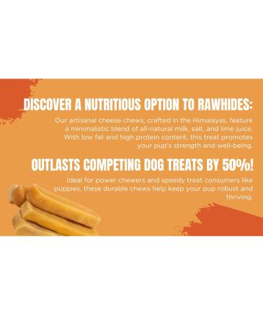 Snaks Yak Cheese Dog Chew - Cheese Bones & Long Lasting Dental Treats for Aggressive Chewers - Keeps Dogs Busy & Improves Oral Health - Rawhide-Free - Pack of 2 Large (Approx. 200g-220g Per Pack) Large Pack of 2 - Buy Online on GoSupps.com