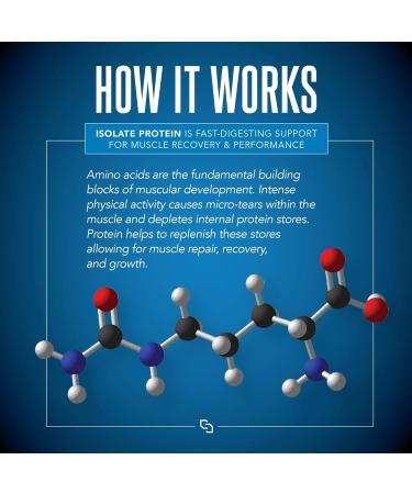 Isolate Premium Whey Protein Powder Keto Isolate and Hydrolysate with Amino Acids Including Glutamine for Lean Muscle Growth and Recovery - Vanilla Ice Cream (30 Servings) Vanilla 2 Pound (Pack of 1) - Buy Online on GoSupps.com