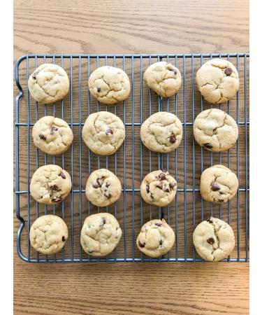 Chocolate Chip Cricket Cookie Mix with Cricket Flour - Delicious and Nutritious Snack Option - Buy Online on GoSupps.com