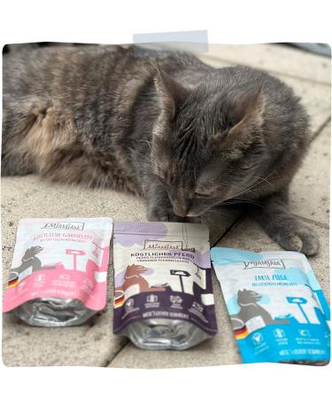MjAMjAM Cat Meals Mix Package III - 6 x 200g Delicious Gourmet Food for Cats | 1.2kg (1 Pack) - International Shipping Available - Buy Online on GoSupps.com
