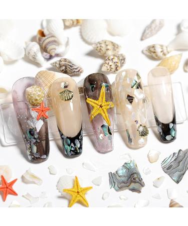 NICENEEDED Ocean Themed Nail Decorations Kit Irregular Abalone Shell Slices Conch Starfish Nail Art Charms Colorful Seashell Fragments Caviar Beads Nail Studs Supplies for Nail Design(Style 6) - Buy Online on GoSupps.com