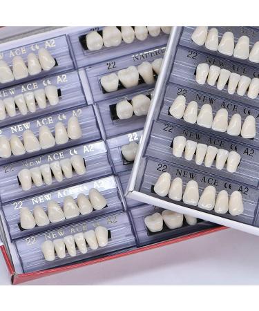 Dental Synthetic Resin Tooth Denture Set - 168 Pcs, 22 A2 Upper Lower Shade, Halloween Horror Teeth - Buy Online on GoSupps.com
