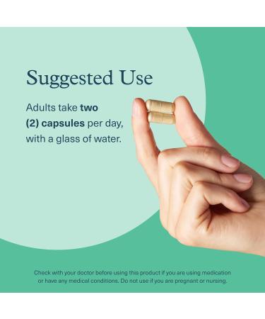 Youtheory Ashwagandha + GABA - Adaptogenic Blend with Organic KSM-66 & Ginger - Aids Stress Relief & Mood* - Supports Energy Levels* - 60 Vegetarian Capsules (30-Day Supply)* - Buy Online on GoSupps.com