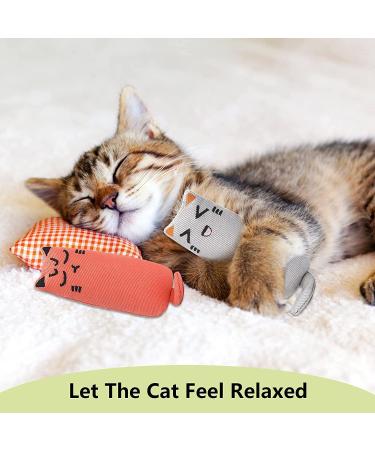 MOSNOW Cat Chase Toys 1 Pack 2 in 1 LED Pointer Cat Toys&1 Pack Cat Catnip Toys Funny Cat Toys Pet Interactive Toys for Pet Indoor Exercise Training Tool - Buy Online on GoSupps.com