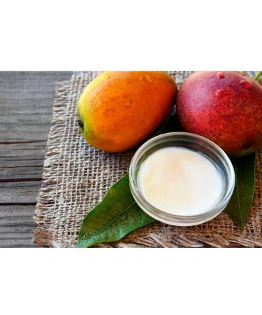 HalalEveryDay Raw Mango Butter 10 LB WHOLESALE- Premium Quality 100% Pure - Organic Unrefined Moisturizing Body Butter Perfect for DIY Soaps Scrubs Lotions Creams and more! - Buy Online on GoSupps.com