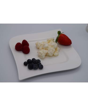 Buy Starter Set Milk Kefir - Active Kefir Grains for Homemade Kefir | International Shipping - Buy Online on GoSupps.com