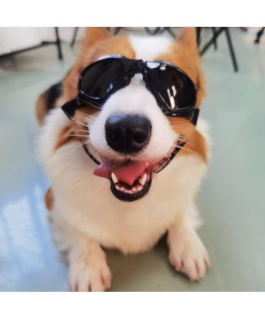 Small Dog UV Protection Goggles - Windproof Puppy Sunglasses in Black - Buy Online on GoSupps.com