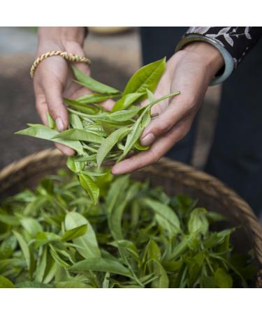 Palais des Th s FLEUR DE GEISHA Th Vert Parfum M lange Floral et Fruit Parfum Doux et Gourmand Boite M tal 100g - Buy Online on GoSupps.com