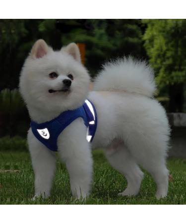 Buy Reflective Soft Padded Dog Harness & Cat Dishes for Small Dogs - Air-Mesh Breast Harness (M: 35-39cm) - Blue | International Shipping Available - Buy Online on GoSupps.com