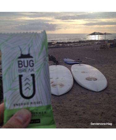 Buy Bug-Break Insect Bars - 3x36g Energy Bars with Edible Insects | Sustainable Protein Snack - Buy Online on GoSupps.com