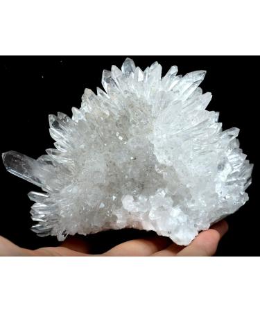 716g White Chrysanthemum-Like Quartz Specimen Full of Texture - Buy Online on GoSupps.com
