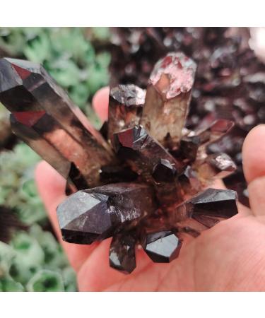 Natural Crystal Rough 1pcs Natural Black Druse Quartz Vug Cluster Decoration ChakraStone Column Point Can be Used for (Size : 400-500g) (Size : 400-500g) - Buy Online on GoSupps.com