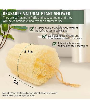 Natural Shower Loofah Sponge - Bath Exfoliating Body Scrubber - Soft & Easy Foaming Spa Lufa Sponges (2 Pack) - Buy Online on GoSupps.com