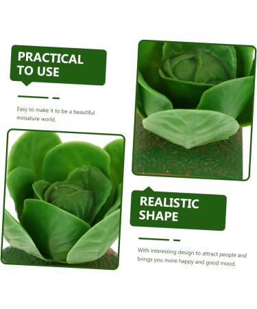 RORPOIR 4pcs Cabbage Model Garden Decor Simulated Models Puzzle Toys Accessory Educational Playthings Home Decor Tiny Foods Miniature Model Toys Plastic Fake Vegetables Apple Tree Child - Buy Online on GoSupps.com