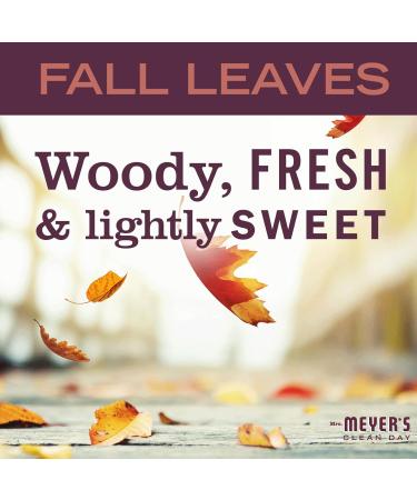 Mrs. Meyer's Clean Day Variety - Fall Leaves Hand Soap & Dish Soap Set | 12.5 OZ & 16 OZ | International Shipping Available - Buy Online on GoSupps.com