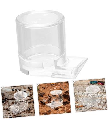 Ipetboom Pet Water Feeder Ant Water Feeders Ant Watering Cup Ant Bottle Feeder Ant Keeping Ant Feed Bowl Ants Feeding Device Ant Watering Station Ant Feeder Tool Animal Sea turtle Plastic - Buy Online on GoSupps.com