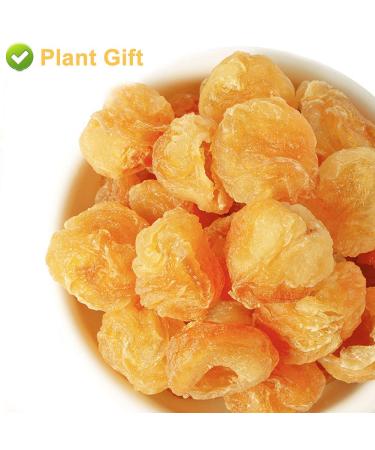 Plantgift Natural Dried Longan 100g - Premium Quality 100% Fruit Meat No Sugar Perfect for Teas Desserts & Cooking - Buy Online on GoSupps.com