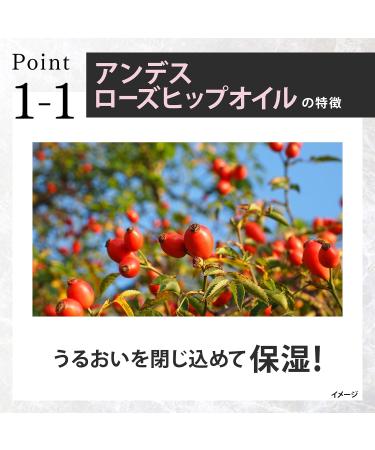 LUX (Lux) Lux Premium Botanifique Damage Repair Treatment Pump 510g - Buy Online on GoSupps.com