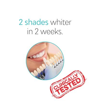 TAO Clean Daily Care Whitening Replacement Heads - 2 Pack | International Shipping Available - Buy Online on GoSupps.com