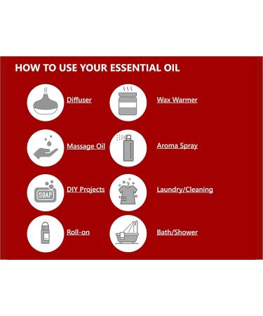 Christmas Joy Essential Oil Blend 1oz - 100% Natural Aromatherapy Oil for a Fresh Citrusy and Spicy Holiday Experience - Buy Online on GoSupps.com