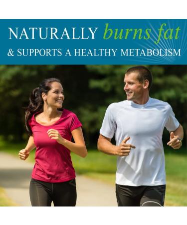Buy Garden of Life FucoThin 90 Softgels - Premium Weight Management Supplement - Buy Online on GoSupps.com