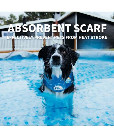 All For Paws Chill Out Dog Bandana Medium - Buy Online on GoSupps.com