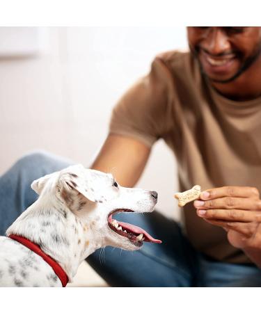 Milk-Bone Original Dog Treats - Crunchy Biscuits for Clean Teeth - Buy Online on GoSupps.com