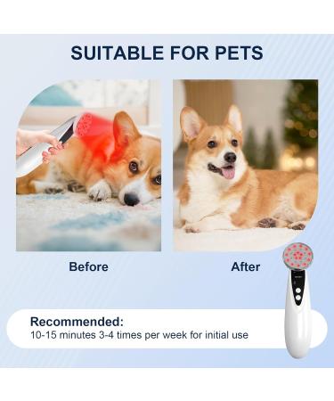 Sthmolepy Handheld Red Light Lamp Near Infrared Light for Body Portable LED Red Light Wand with 660nm & 850nm at Home Use - Buy Online on GoSupps.com