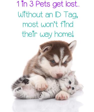 Personalized Sally Nightmare Before Christmas Pet ID Tag for Dogs & Cats - uDesignUSA - Buy Online on GoSupps.com