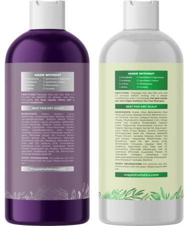 Sulfate Free Tea Tree Sage & Rosemary Shampoo & Conditioner Set for Dry Flaky Scalp - Color Safe Deep Cleansing Care for Damaged Dry Hair - 8 Fl Oz (Pack of 2) - Buy Online on GoSupps.com