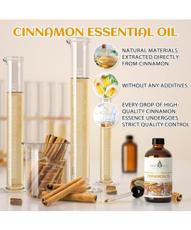 EVOKE OCCU Cinnamon Essential Oil and Vetiver Essential Oil - 4 Fl Oz - Buy Online on GoSupps.com