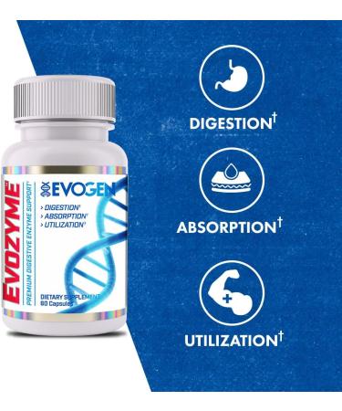 Buy Evozymes - 60 Caps | Premium Enzyme Supplement for Digestion & Wellness | Fast International Shipping - Buy Online on GoSupps.com