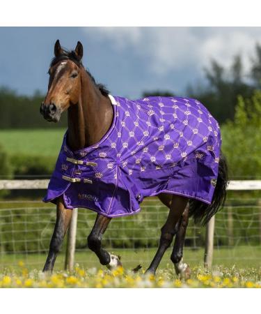 Gallop Equestrian Gallop Trojan Monarch 100g Lightweight Outdoor Horse Turnout Rug Standard Neck (6'6'' Purple) 6'6" Purple - Buy Online on GoSupps.com