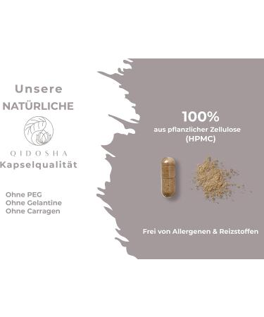Qidosha Reishi Extract Capsules 500mg - Test Winner 07/23 | 15:1 Premium Ganoderma Lucidum | Vegan | 180 Glass Capsules | High-Dose Reishi Supplement - Buy Online on GoSupps.com