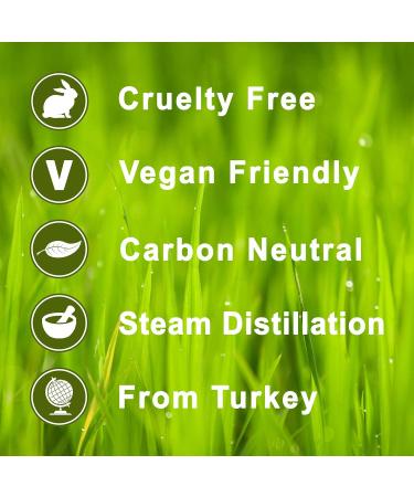 Calmer Solutions Rosewood 100% Pure Essential Oil 10ml - Pack of 1 - Buy Online on GoSupps.com