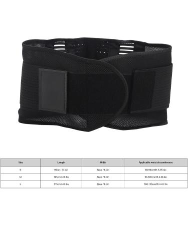 Kenanlan Lordosis Support Belt Adjustable Waist Support & Protection for Sports | Comfortable & Removable Upholstery (M) | International Shipping Available - Buy Online on GoSupps.com