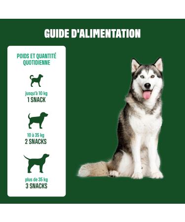ivvi Dental - Dental Hygiene Snacks for Dogs. Mint Parsley Fennel Chamomile Coconut Oil Brown Seaweed. 60 Snacks with Chicken. Promotes Healthy Teeth Fresh Breath Healthy Gums - Buy Online on GoSupps.com