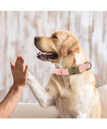 Didog Soft Leather Dog Collar - Durable & Adjustable Pink Collar for Medium & Small Dogs (Neck Size 13-21) | Quick Lock Metal Buckle - Buy Online on GoSupps.com