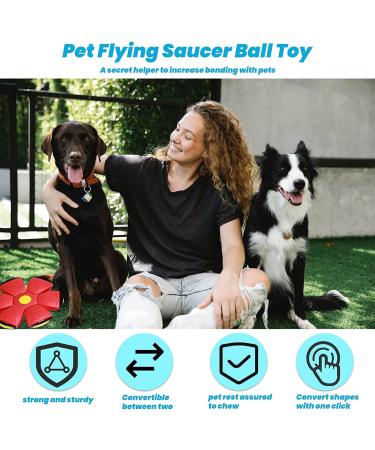 Yeahboom UFO Magical Flying Saucer Ball | Frisbee Dog Toy for Outdoor Fun | Violet Dog Frisbees | International Shipping Available - Buy Online on GoSupps.com