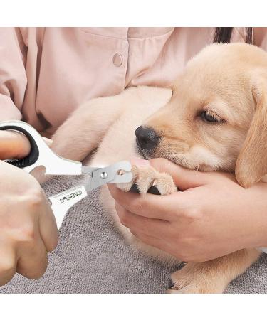 OneCut Pet Nail Clippers - Professional Cat & Kitten Claw Trimmers for Small Dogs- Black - Buy Online on GoSupps.com