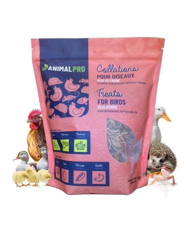 AnimalPro Mealworms 454 g (1 LB) Approx 17 000 Mealworms