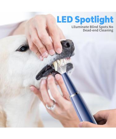 Sunlary Tartar Remover Ultrasound - 5 Cleaning Modes for Dogs Cats & Humans | Combat Tartar Bad Breath & Gum Infections - Buy Online on GoSupps.com