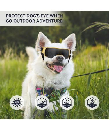 Buy UV Protection Mini Dog Sunglasses - Windproof Anti-Fog Gold - Perfect for Small Dogs - Buy Online on GoSupps.com